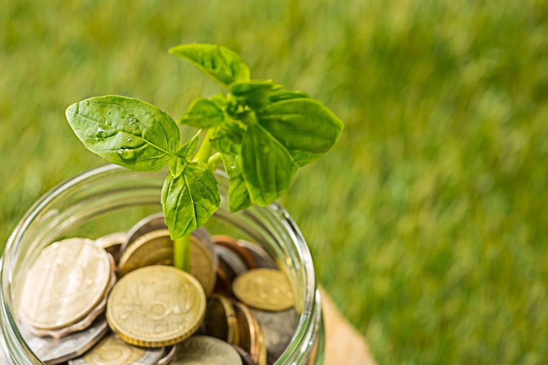 https://www.moneynownews.com.br/images/a/2620/b2ap3_large_planta-crescendo-em-jarra-de-vidro-de-moedas-por-dinheiro-na-grama-verde.jpg
